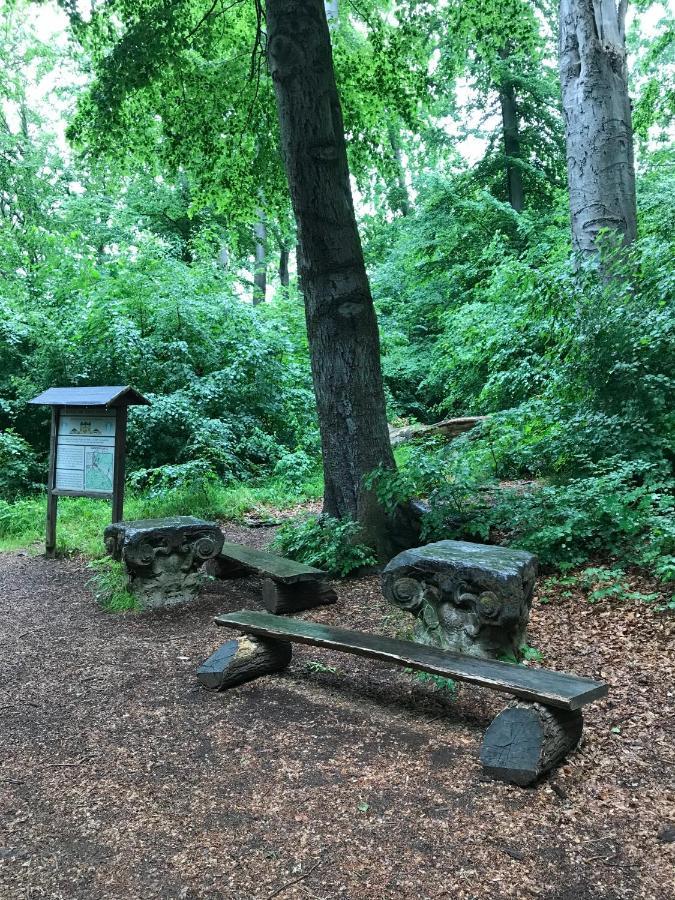 Ferienwohnung Morgensonne Am Kurpark Bad Berka - Parkplatz - Spielplatz - Wlan - 2 Schlafzimmer 외부 사진