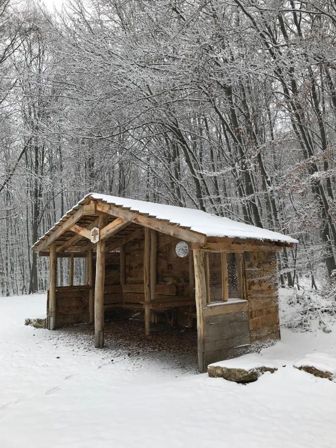 Ferienwohnung Morgensonne Am Kurpark Bad Berka - Parkplatz - Spielplatz - Wlan - 2 Schlafzimmer 외부 사진