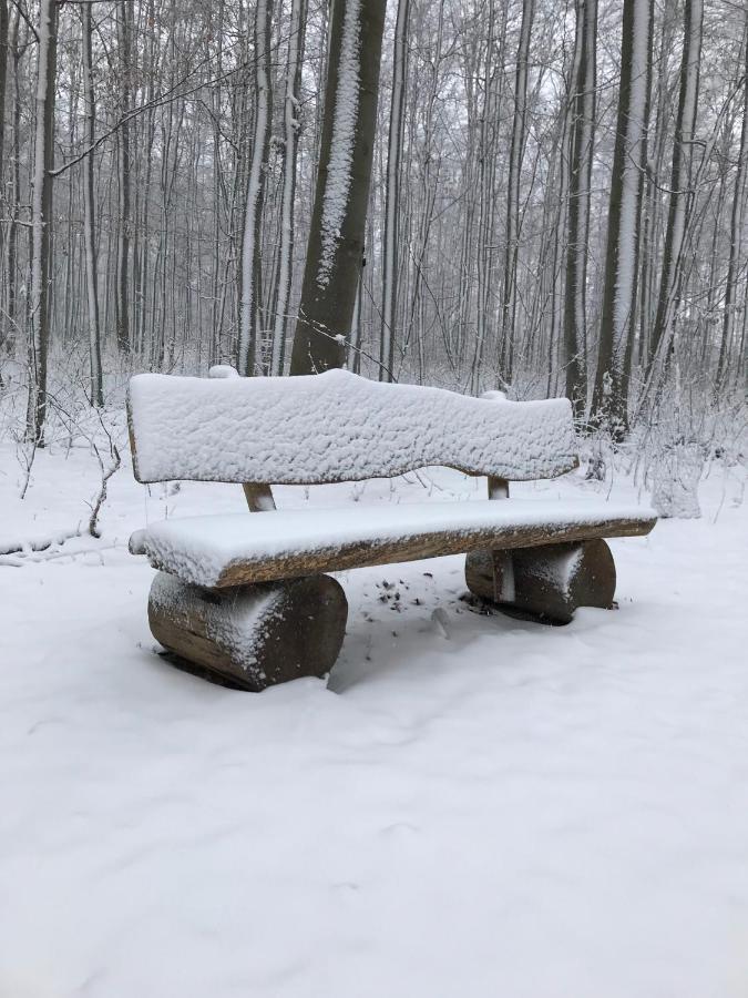 Ferienwohnung Morgensonne Am Kurpark Bad Berka - Parkplatz - Spielplatz - Wlan - 2 Schlafzimmer 외부 사진